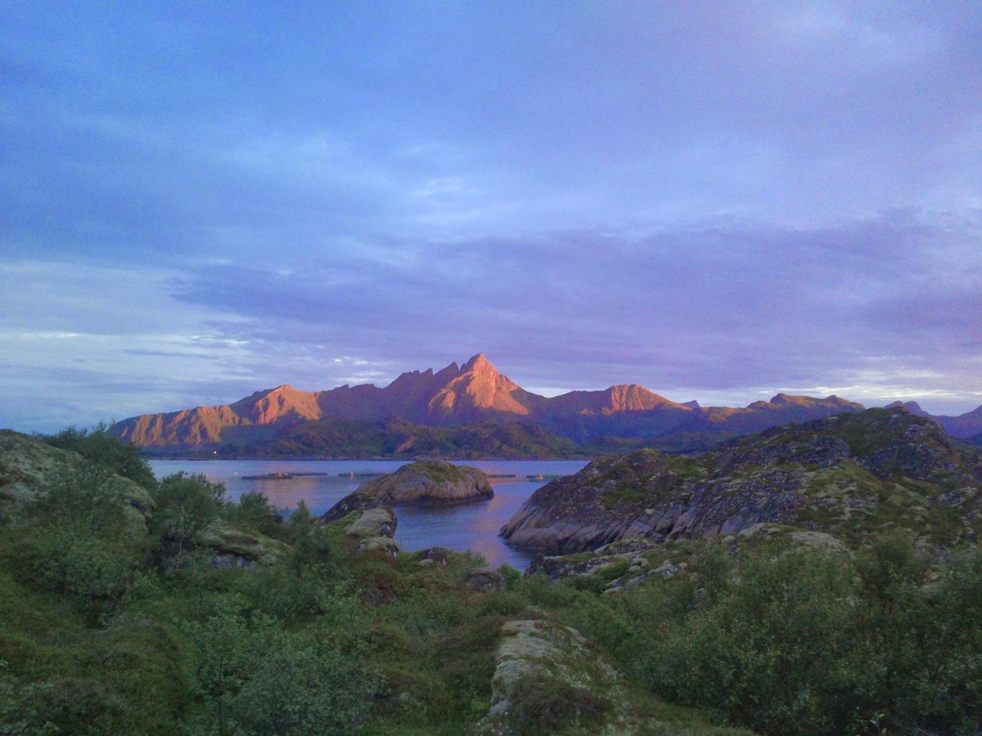 Unique Private Cabin In Lofoten Leknes Eksteriør billede