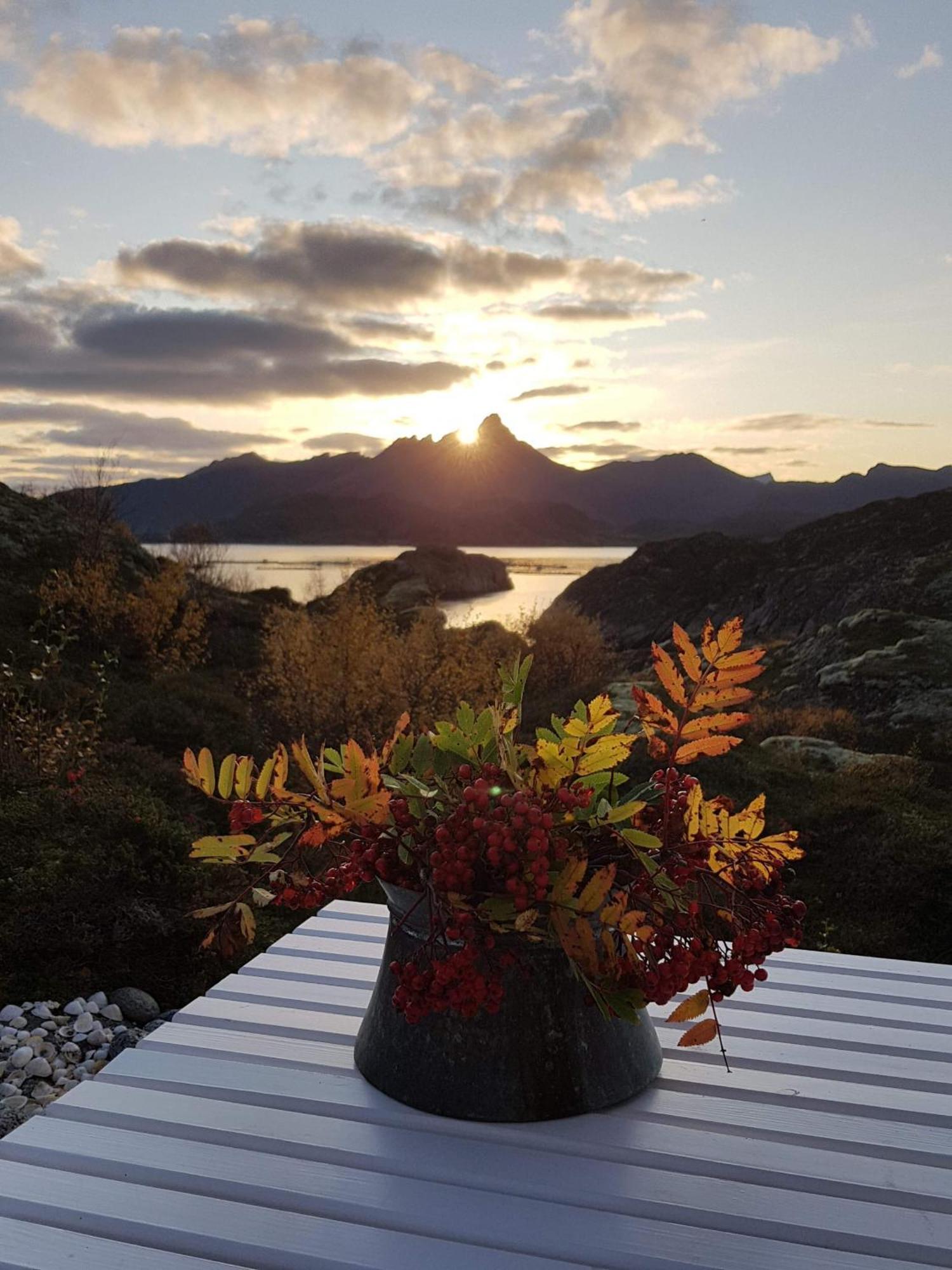 Unique Private Cabin In Lofoten Leknes Eksteriør billede