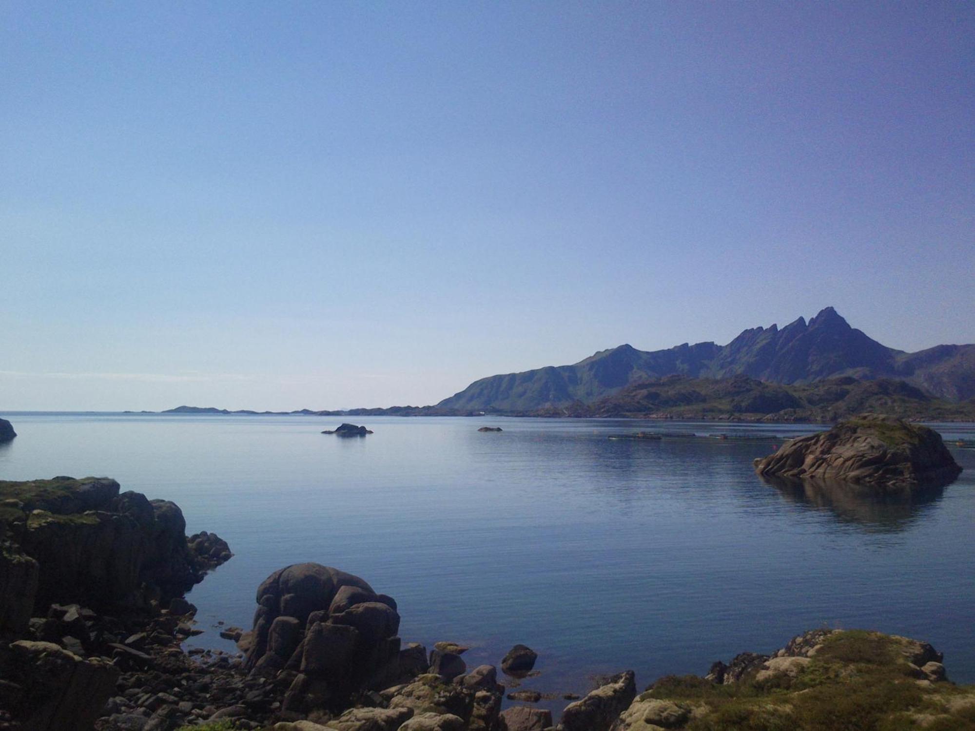 Unique Private Cabin In Lofoten Leknes Eksteriør billede